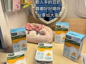 营养丰富的 6dounaicom 豆奶，你值得拥有