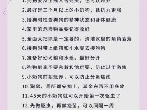 男狗任务表(男狗任务表：遛弯、喂食、清洁、陪伴)