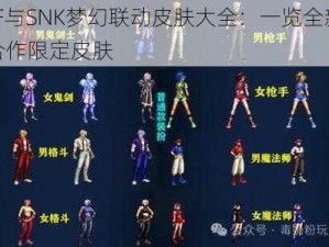 DNF与SNK梦幻联动皮肤大全：一览全新跨界合作限定皮肤