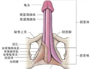 我要爱爱网——两性健康专家，你的私人性福顾问