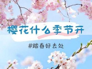 樱花官网官方进入【如何进入樱花官网官方网站？】