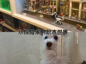 乐高无限石像鬼战力解析及怪物特性介绍：石像鬼的神秘力量探索