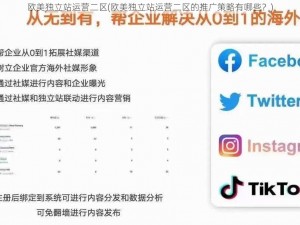 欧美独立站运营二区(欧美独立站运营二区的推广策略有哪些？)