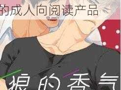 一款集肉肉、彩漫、耽美、BL 漫画于一体的成人向阅读产品