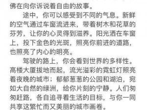 老司机自驾游心得分享：驾驶中的光荣使命与撞人战术的独到见解