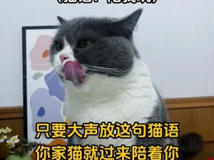 91久久国产综合久久91猫猫【如何评价91 久久国产综合久久 91 猫猫？】