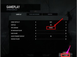 《古墓丽影9》中文设置指南：轻松切换语言体验