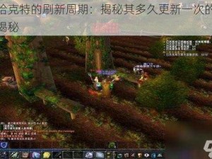 矿工哈克特的刷新周期：揭秘其多久更新一次的关键信息揭秘