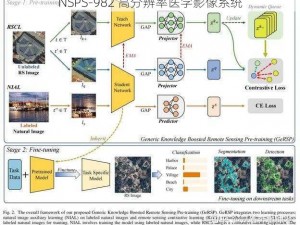 NSPS-982 高分辨率医学影像系统