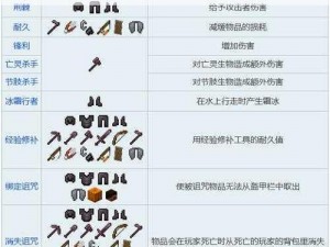 我的世界附魔台使用指南：步骤技巧与注意事项