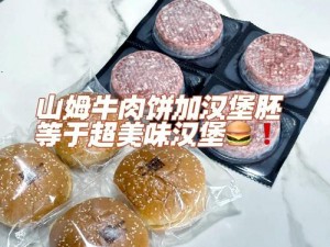 创造与魔法经典汉堡食谱揭秘：自制美味汉堡的魔法步骤