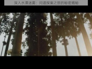 深入水潭迷雾：问道探案之旅的秘密揭秘