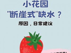 怎么扣小花园达到 g？探秘私密地带的神奇技巧