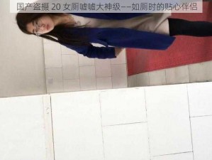 国产盗摄 20 女厕嘘嘘大神级——如厕时的贴心伴侣