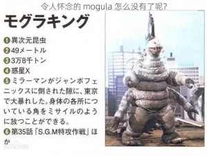 令人怀念的 mogula 怎么没有了呢？