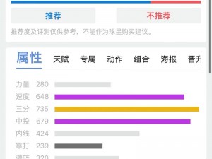 最强NBA雷迪克玩法攻略详解：全面掌握雷迪克技巧与策略指南