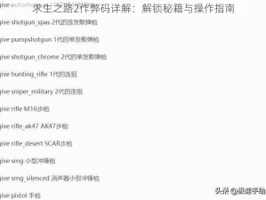 求生之路2作弊码详解：解锁秘籍与操作指南