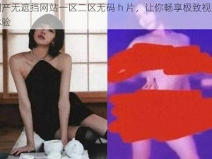 国产无遮挡网站一区二区无码 h 片，让你畅享极致视觉体验