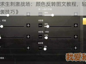 《绝地求生刺激战场：颜色反转图文教程，轻松掌握画面逆袭技巧》