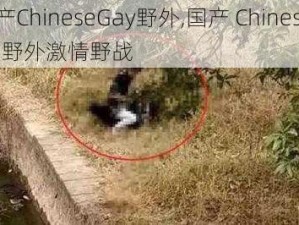 国产ChineseGay野外,国产 ChineseGay 野外激情野战