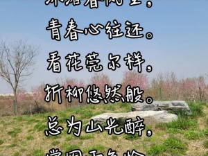 以抖音春风吹不到我的杨柳腰为主题的拟为：抖音热门旋律：春风吹过，我的杨柳腰依旧坚韧