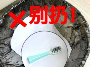 什么？电动牙刷还能这样玩？自己那里带刷头吗