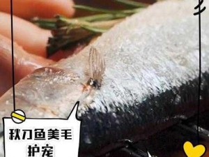 食之契约秋刀鱼全面测评：口感、营养、烹饪技巧大解析