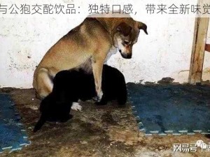 少妇与公狍交酡饮品：独特口感，带来全新味觉体验