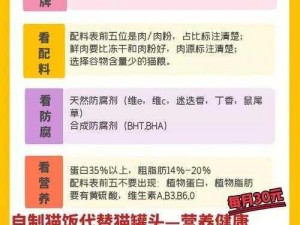 《猫之城——全方位攻略：猫球登记流程详解，助力猫球进入集会盛典》