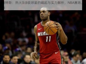 迪昂维特斯：热火队B级球星的崛起与实力解析，NBA赛场上的璀璨明珠