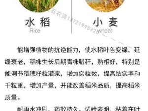 男女之间插秧与间苗的区别_男女之间插秧与间苗有何区别？