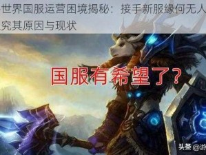 魔兽世界国服运营困境揭秘：接手新服缘何无人愿为？探究其原因与现状