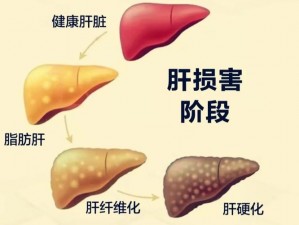 办公室强肝 2023 年 4 月 7 日开播，肝脏健康专家，教你科学养肝