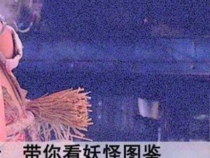 转生魔物红卡：善恶概率深度解析与分享