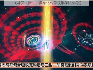 《斗罗大陆：王国印记魂骨获取秘法探秘》