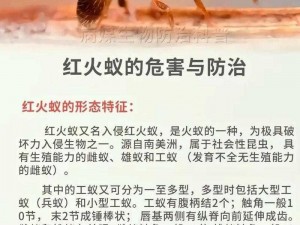 红火蚁入侵我国12省份，引发生态安全危机：全国范围内的防控与应对策略