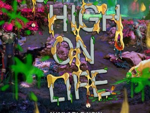 High on Life游戏难度解析：从初级挑战到高级难关的游戏体验差异