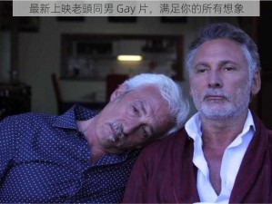 最新上映老頭同男 Gay 片，满足你的所有想象