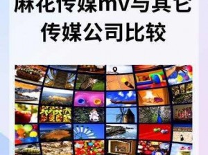 揭秘麻花传媒MV一二三区别 麻花传媒 MV 一二三有何区别？