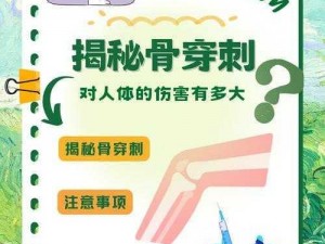 以物爆与穿刺之争：探究哪种伤害更高？