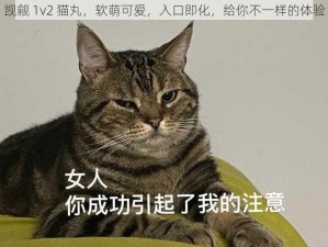 觊觎 1v2 猫丸，软萌可爱，入口即化，给你不一样的体验