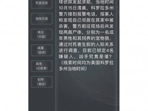 揭秘犯罪大师：云南客栈谋杀案凶手的真相解析