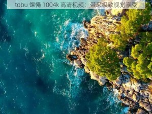 tobu 馃憴 1004k 高清视频：带来极致视觉享受