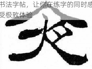 周生辰弄时宜舒服 H 文夜光书法字帖，让你在练字的同时感受极致体验