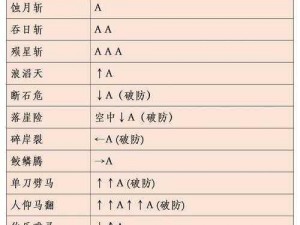 流星蝴蝶剑黑衣人挑战攻略：实战技巧与过关秘籍解密