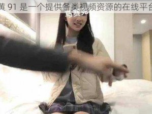 黄 91 是一个提供各类视频资源的在线平台