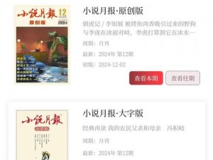 国产精品久久久久久小说——一款打造的优质阅读 APP