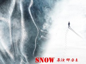 雷地求生电脑版下载链接及详细安装指南