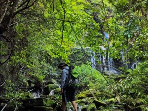 丛林探险：探寻最佳游玩模式，包括徒步探险、露营生存、定向挑战等多元体验