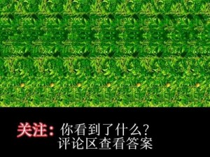 西西人体 44r t 大胆高清 BD：裸眼 3D 视觉体验，感受真实的触感